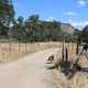 Illustration for article titled Toby Hike Day: Wellbarn Road to San Joaquin River Trail